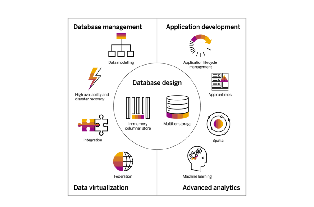 SAP S4/HANA software product